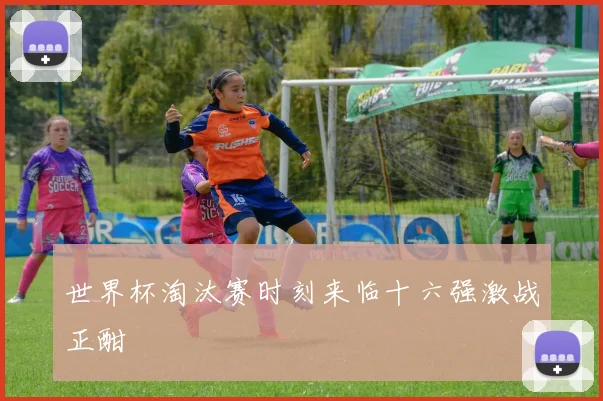 世界杯淘汰赛时刻来临十六强激战正酣