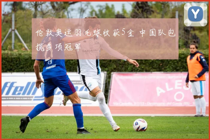伦敦奥运羽毛球收获5金 中国队包揽多项冠军